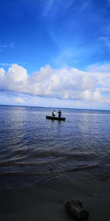 Xcalak Caribe Lodge ภายนอก รูปภาพ